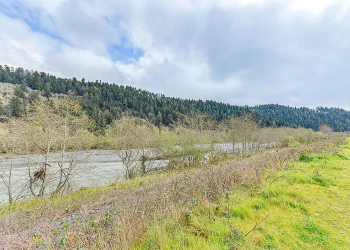 Cozy Norcal Cottage: 2 Mi To Redwoods & Beaches!