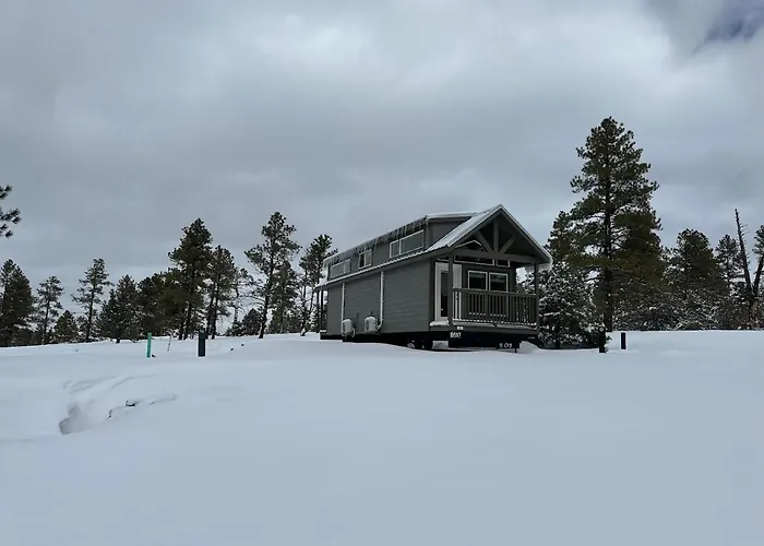 Cozy Cabins By Forest View 3B
