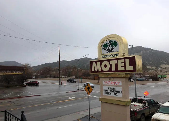 Bristlecone Motel