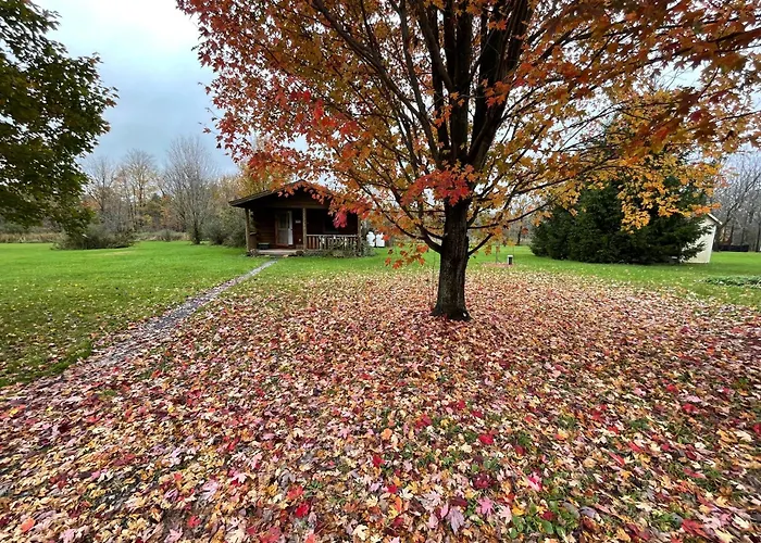 Mill Creek Cabins