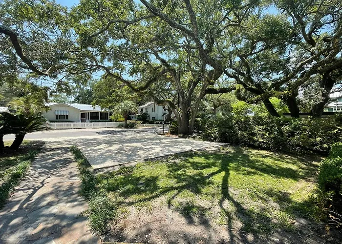 Tree Spirit Retreat - 4310 Third Street