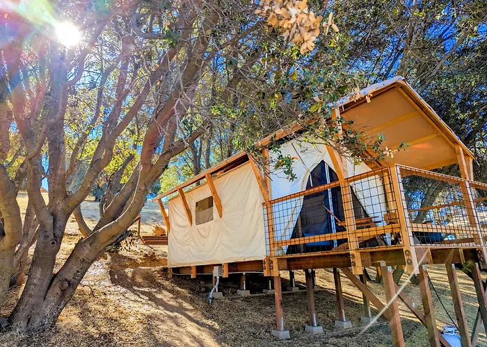 Wildhaven Yosemite Glamping