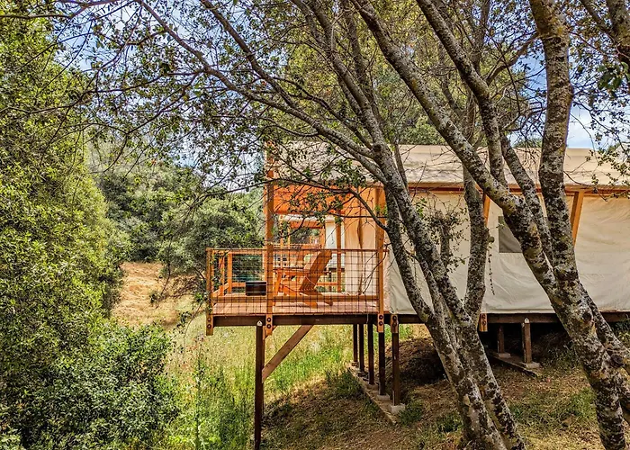 Wildhaven Yosemite Glamping