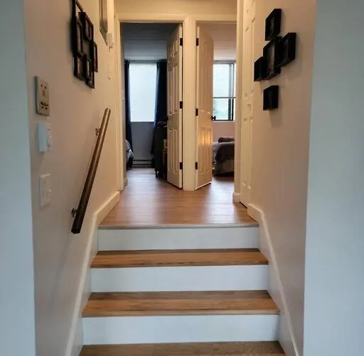 Stylish, Cozy, Well-Equipped Apt In Braintree Ma