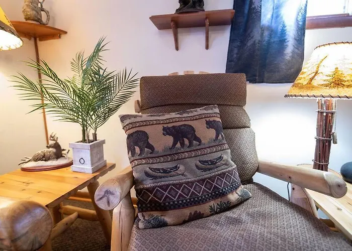 Black Bear Cabin With Blow Up Hot Tub
