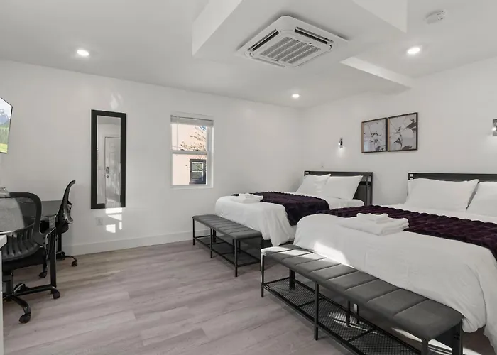 New Season Royals, Airport West