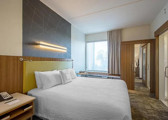 Springhill Suites Tampa North/Tampa Palms