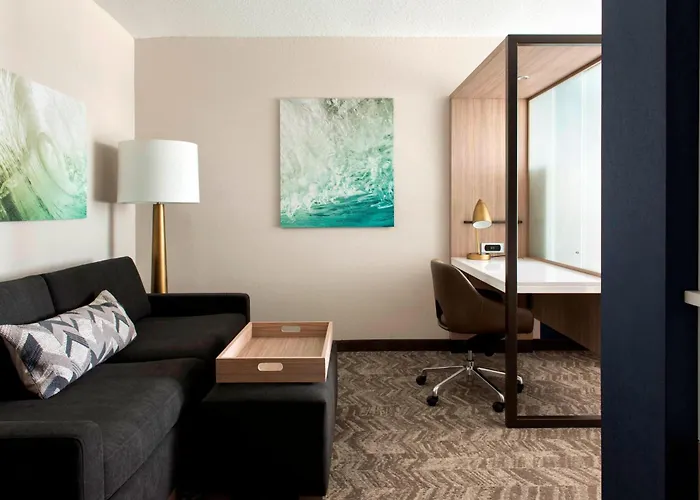 Springhill Suites By Marriott Tampa Suncoast Parkway