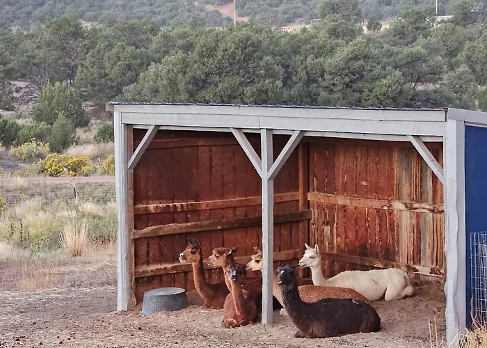 Mountain Farm Stay, Alpacas And Views, Royal Gorge 15Min