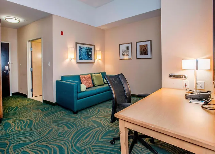 Springhill Suites By Marriott Pueblo Downtown
