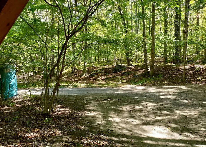 Abrams Creek Campground