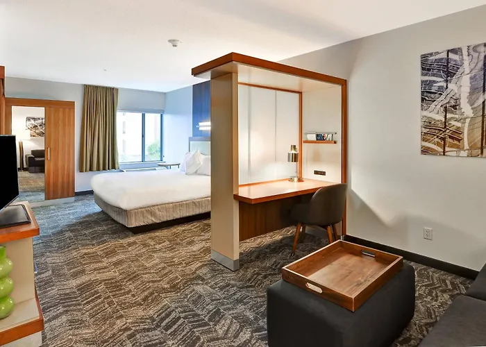 Springhill Suites By Marriott Columbia Fort Meade Area