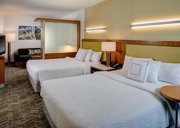 Springhill Suites By Marriott Saginaw