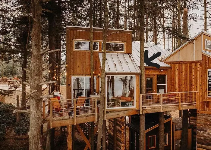 Treehouse-Small Eagles Perch Over The Water
