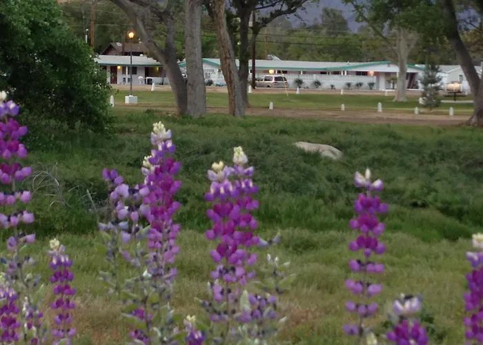 Mount-N-Lake Motel