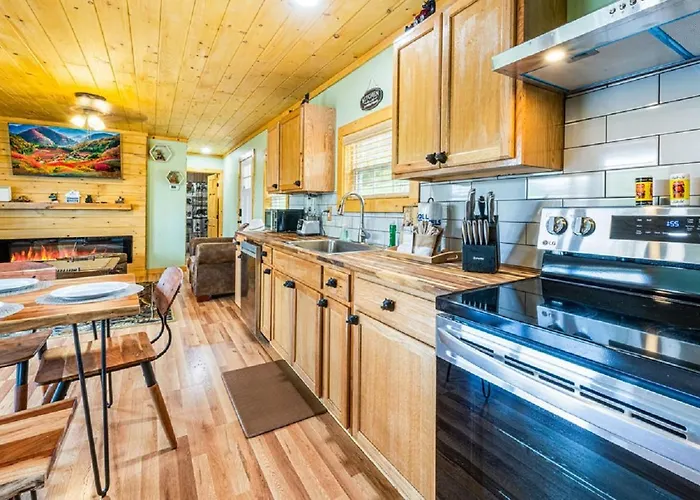 Lovely Tiny Cabin A Bearly Adventure!