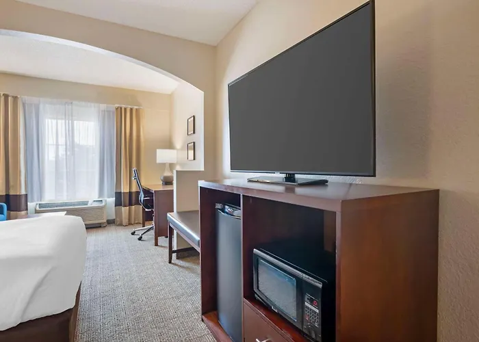 Comfort Suites Downtown