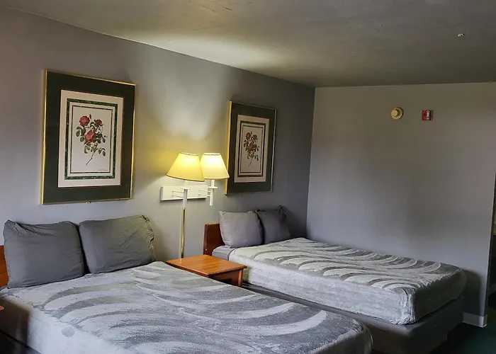 King Bed Hotel Studio 103