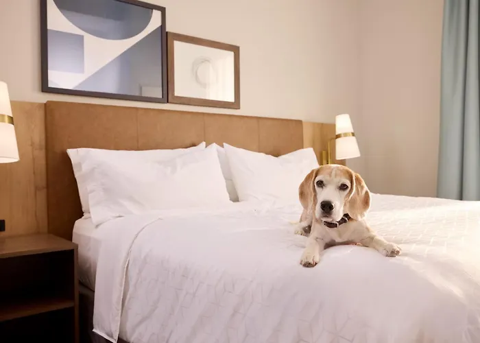 Staybridge Suites Omaha 80Th And Dodge By Ihg