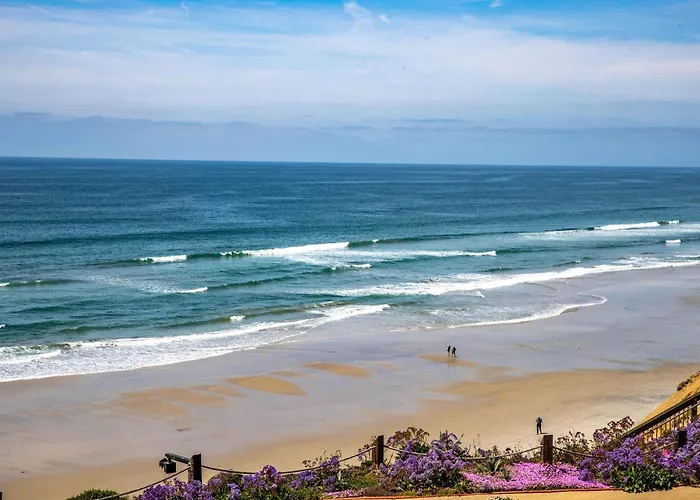 Above The Waves - Sur116