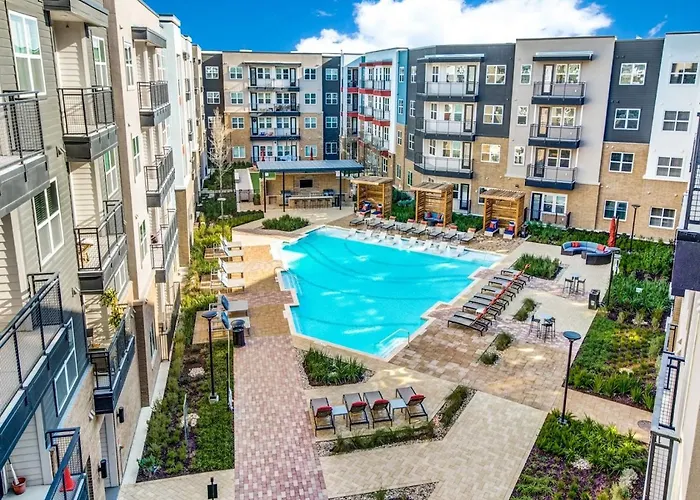 Cozy 2-Bedroom Apartment In Lovely Austin