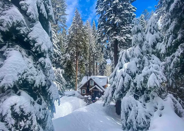 Cozy Yosemite Cabin With Hot Tub In The Pines