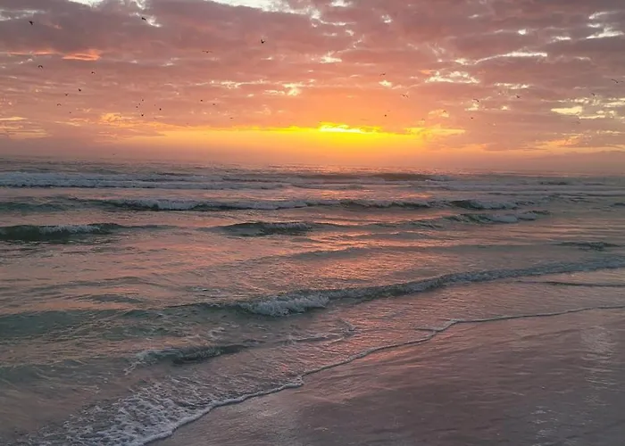 Siesta Key Condo - On The Water !