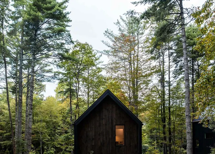 Modern Cabin #2 Close To Town
