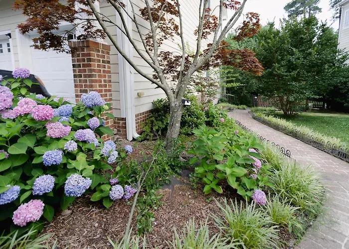 Spacious Basement In Rdu Rtp Cary Area By Jendi