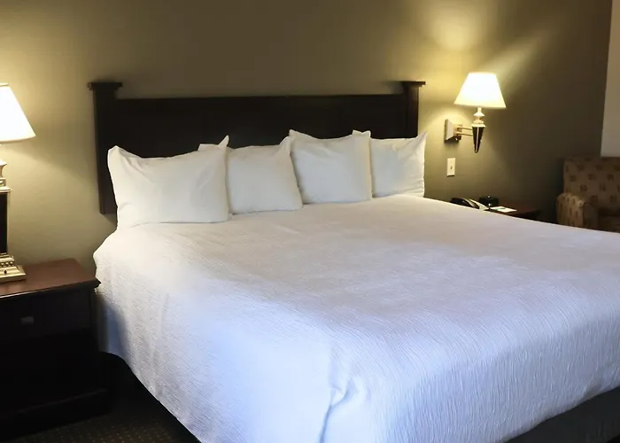 Wingate By Wyndham Peoria - Complimentary Area Shuttle