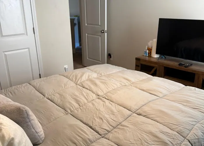 Private, Quiet, Immaculate Bachelor Pad With Free Parking On Site