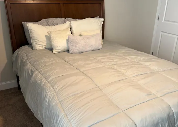 Private, Quiet, Immaculate Bachelor Pad With Free Parking On Site