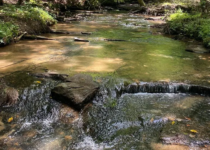 The Copperhead Lodge & Resort