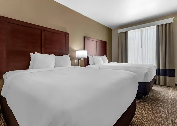 Comfort Suites Plano - Dallas North