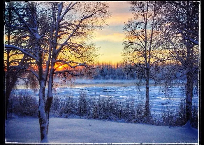 Riverside Cabins At Susitna River Lodge