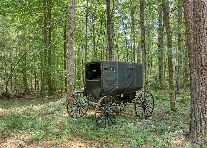 Whiskey In The Woods