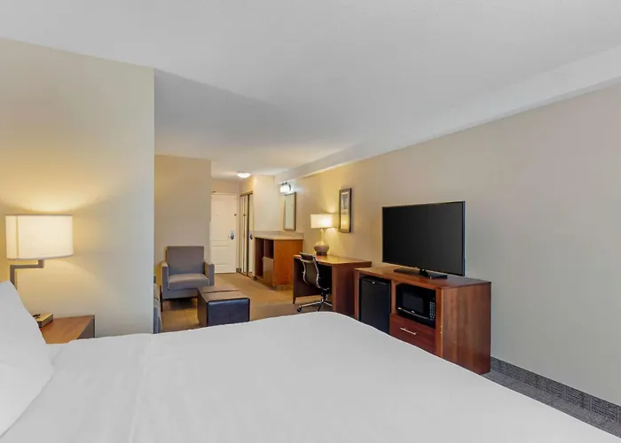 Comfort Inn & Suites Dover Near Speedway