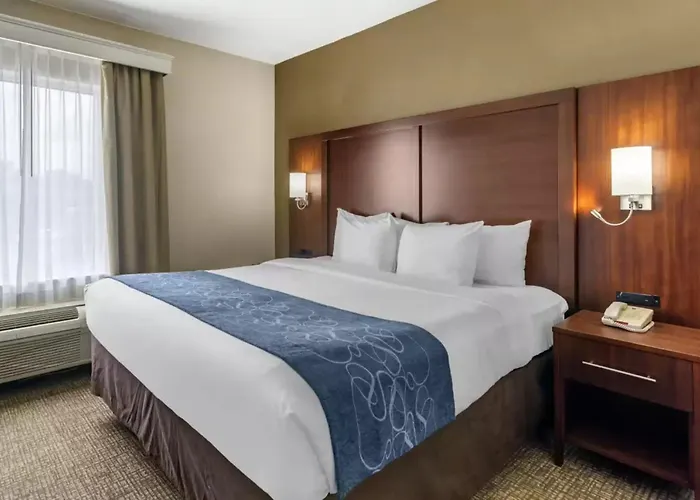 Comfort Suites Goodlettsville Rivergate