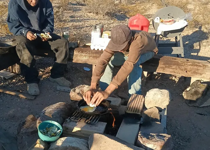 Camping At Desert Gardens Oasis At Lobo, Texas