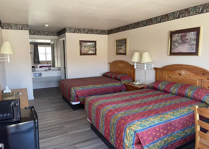 Lakeside Inn & Suites By Oyo Mathis I 37