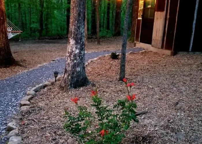 Glamping At Deer Camp