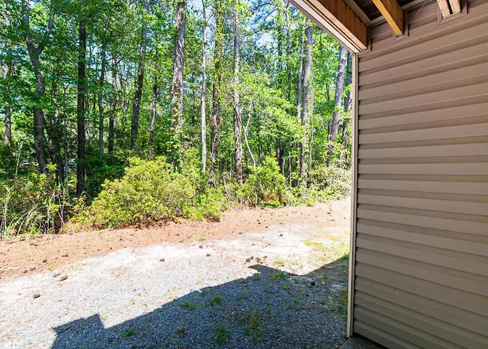 Pet Friendly Ground Floor Gem Near The Beach
