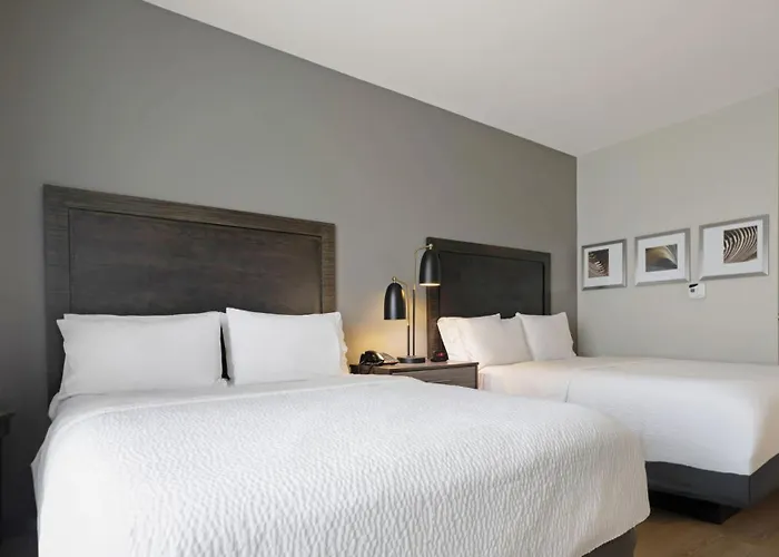 Holiday Inn Texarkana Arkansas Convention Center By Ihg