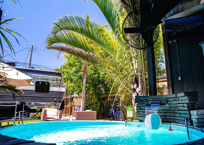 World Solo Travel'S Welcomed At St Pete Home