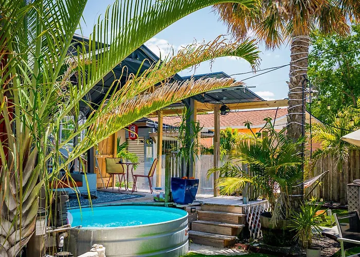 World Solo Travel'S Welcomed At St Pete Home
