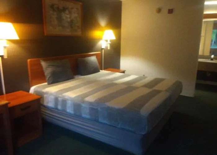 King Bed Hotel Studio 104