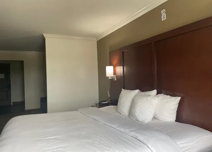 Forestpark Suites