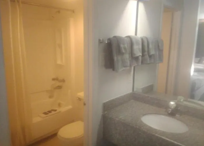 King Bed Hotel Studio 139