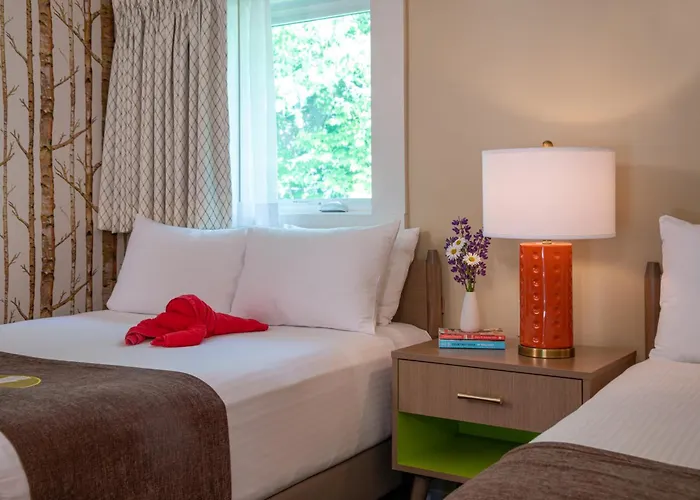 Bar Harbor Motel