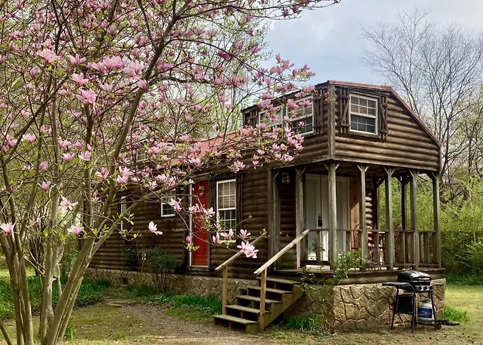 Sunnybrook Cabin, Wooded, Private With Stream, Near Atv Trails